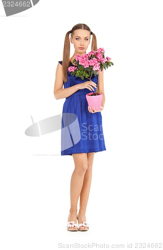 Image of lovely housewife with flower