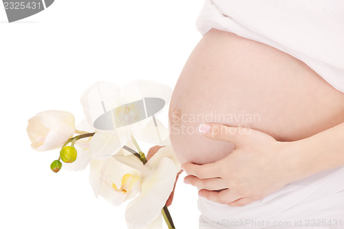 Image of pregnant woman belly