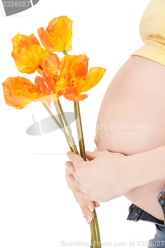 Image of pregnant woman belly