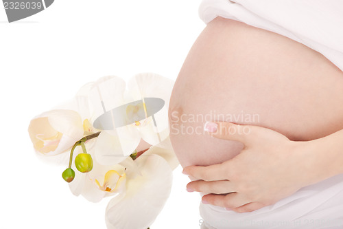 Image of pregnant woman belly