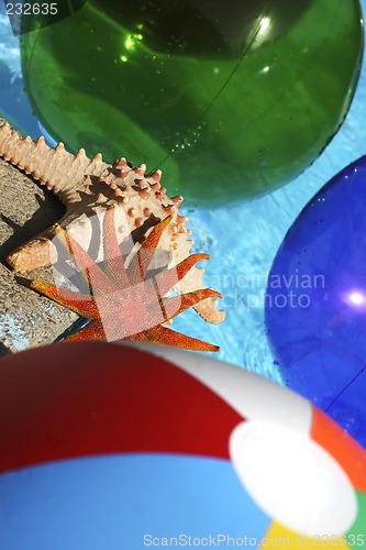 Image of Tropical Abstract