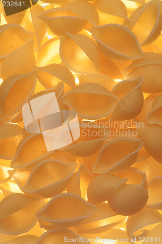 Image of Pasta shells