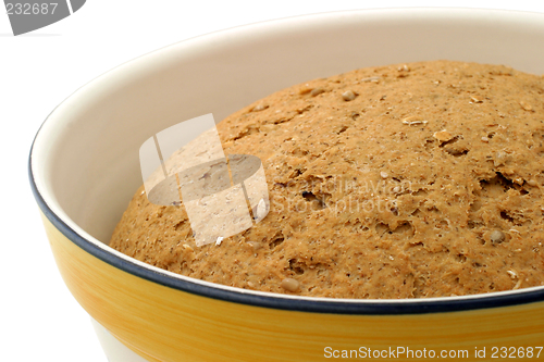 Image of Hearty Bread Dough - close-up