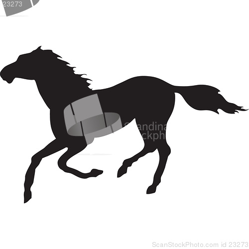 Image of horse running