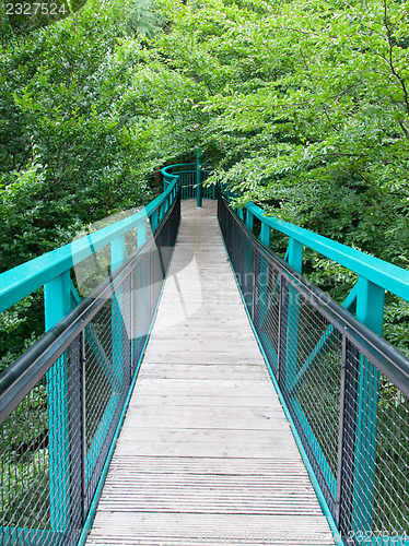 Image of Green pathway through the trees