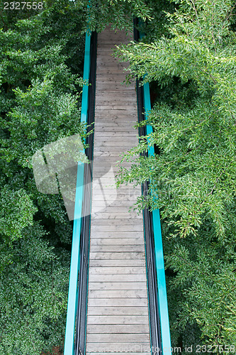 Image of Green pathway through the trees