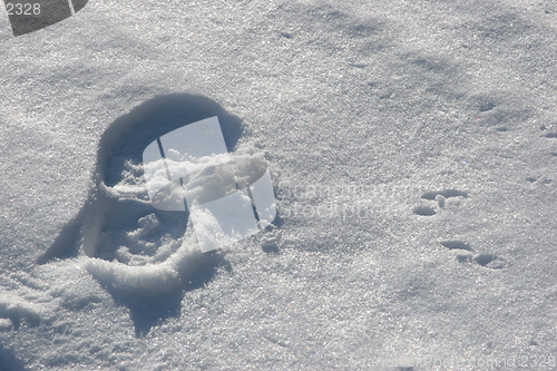 Image of Footprint