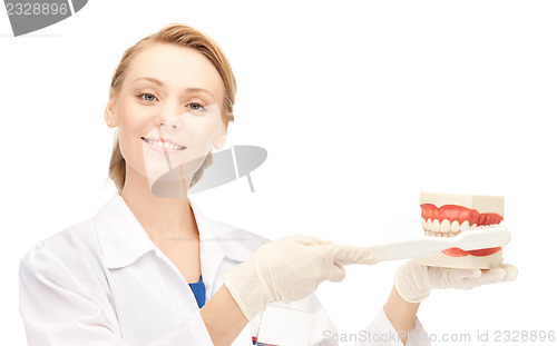 Image of doctor with toothbrush and jaws