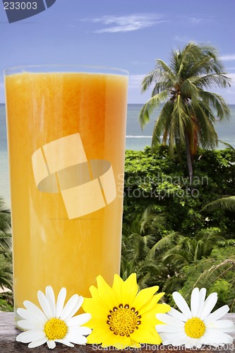 Image of Tropical Drink View