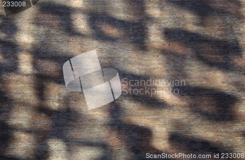 Image of Abstract shadows on a brick wall