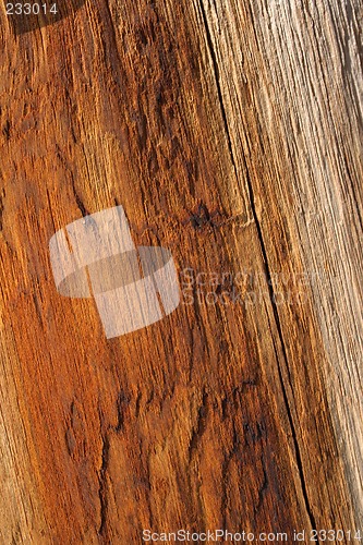 Image of Warm orange color of wood