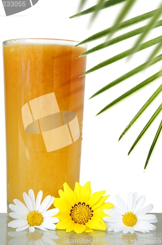 Image of Tropical Drink