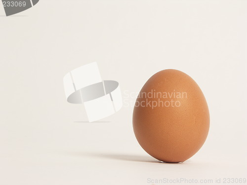 Image of egg