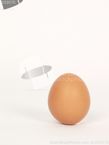 Image of egg