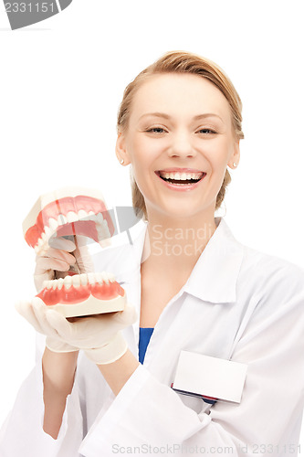 Image of doctor with jaws