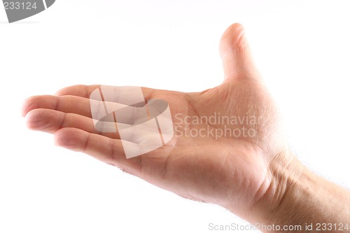 Image of Holding out a hand