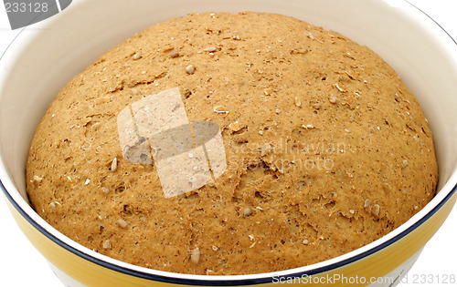 Image of Hearty Bread Dough