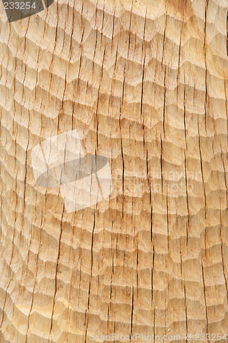 Image of wood texture