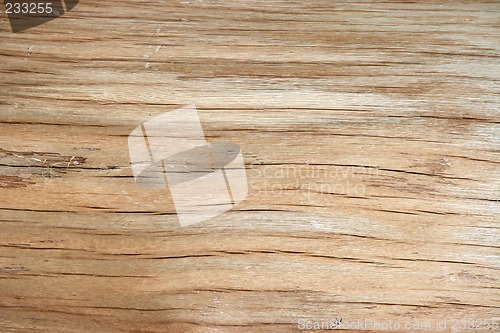 Image of wood texture