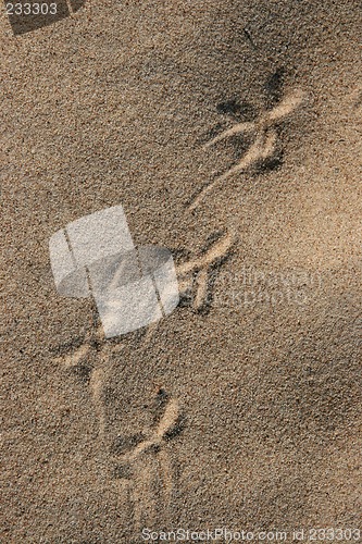 Image of traces