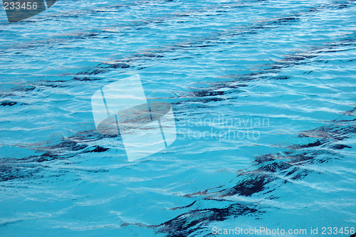 Image of swimming pool