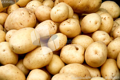 Image of Organic potato