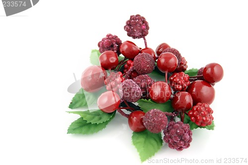 Image of Summer Berries 1