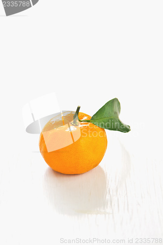 Image of Orange