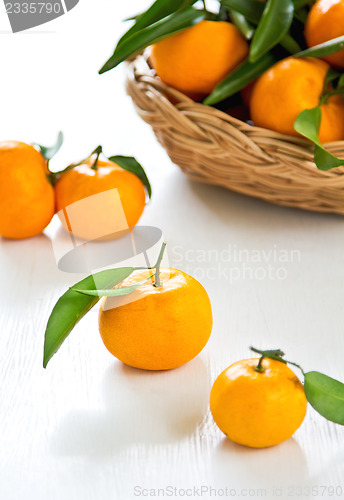 Image of Orange