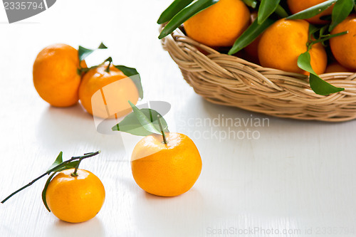 Image of Orange