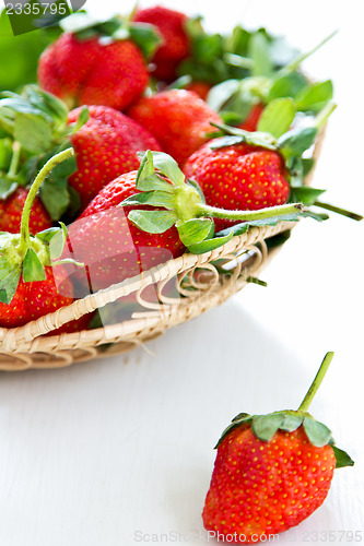 Image of Strawberry