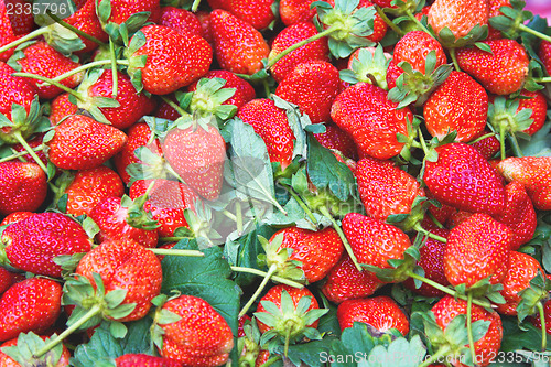 Image of Strawberry