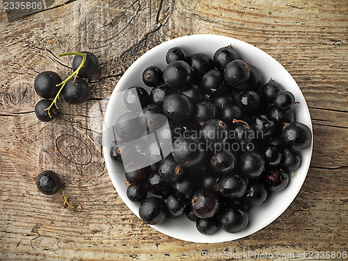 Image of black currant in a white bowl