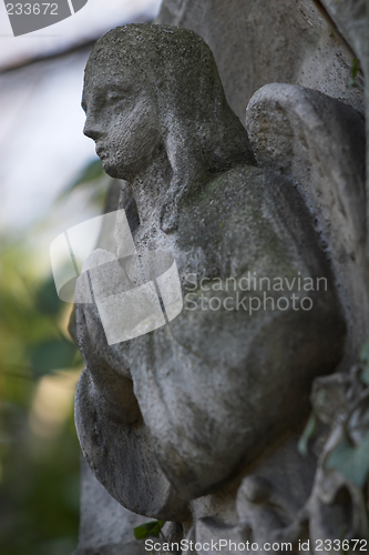 Image of Stone angel