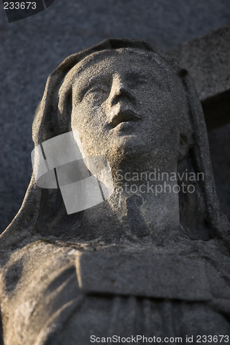 Image of Stone angel