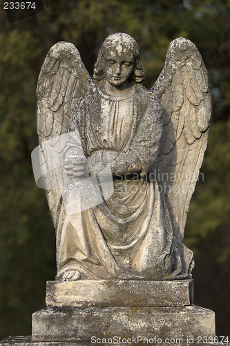 Image of Stone angel