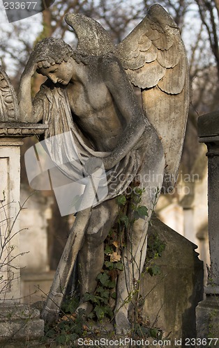 Image of Stone angel