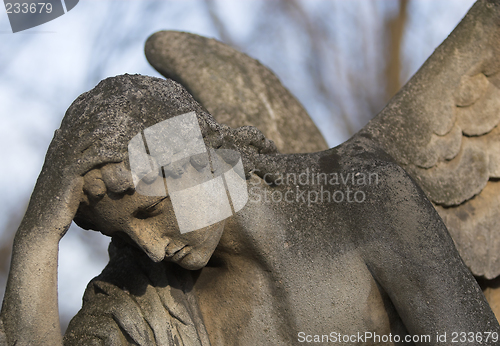 Image of Stone angel