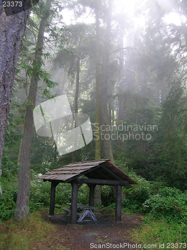 Image of Gazebo, picnic shelter in the rain forest