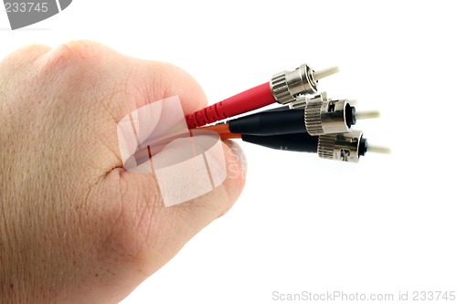 Image of Fiber Optic Computer Cable held in the Hand