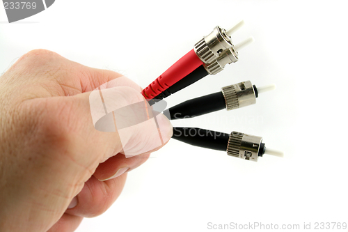 Image of Fiber Optic Computer Cable held in the Hand