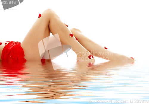 Image of long legs lady in water