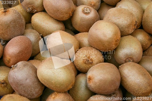 Image of Kiwi