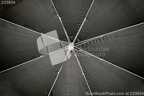 Image of Umbrella