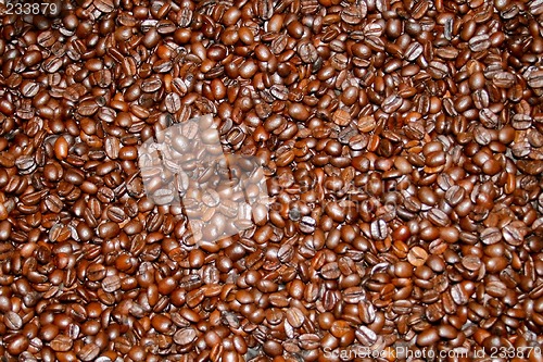 Image of Columbian coffee