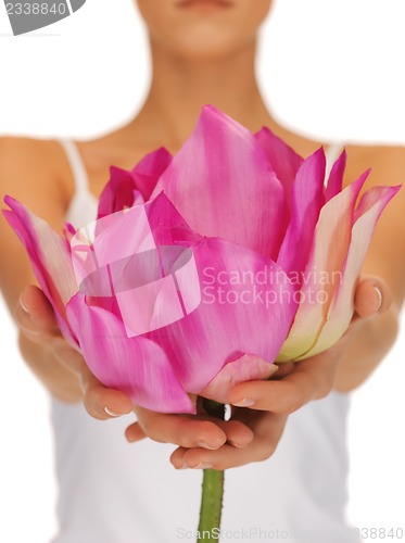 Image of woman hands holding lotus flower