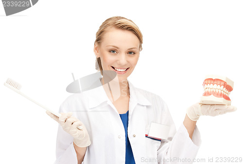 Image of attractive female doctor with toothbrush and jaws