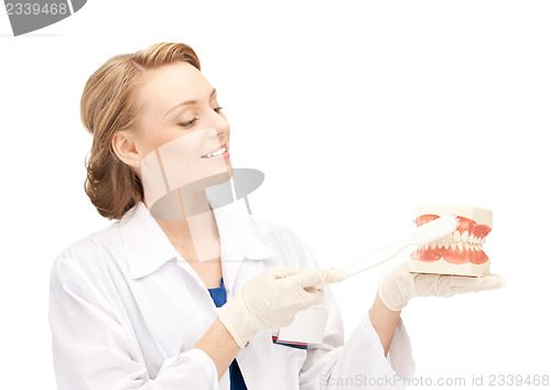 Image of attractive female doctor with toothbrush and jaws