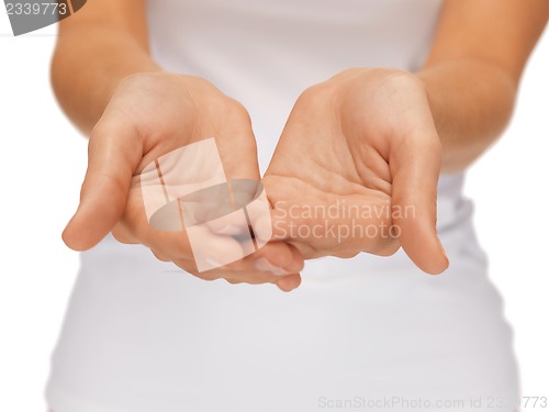 Image of something on the palms