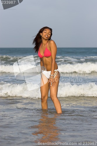 Image of pink bikini